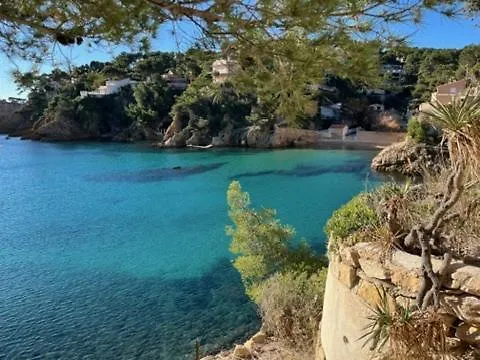 Un Petit Coin De Paradis - Studio Pura Vida, A 200M De La Plage Dans Une Calanque Preservee